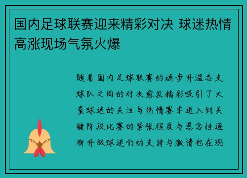 国内足球联赛迎来精彩对决 球迷热情高涨现场气氛火爆